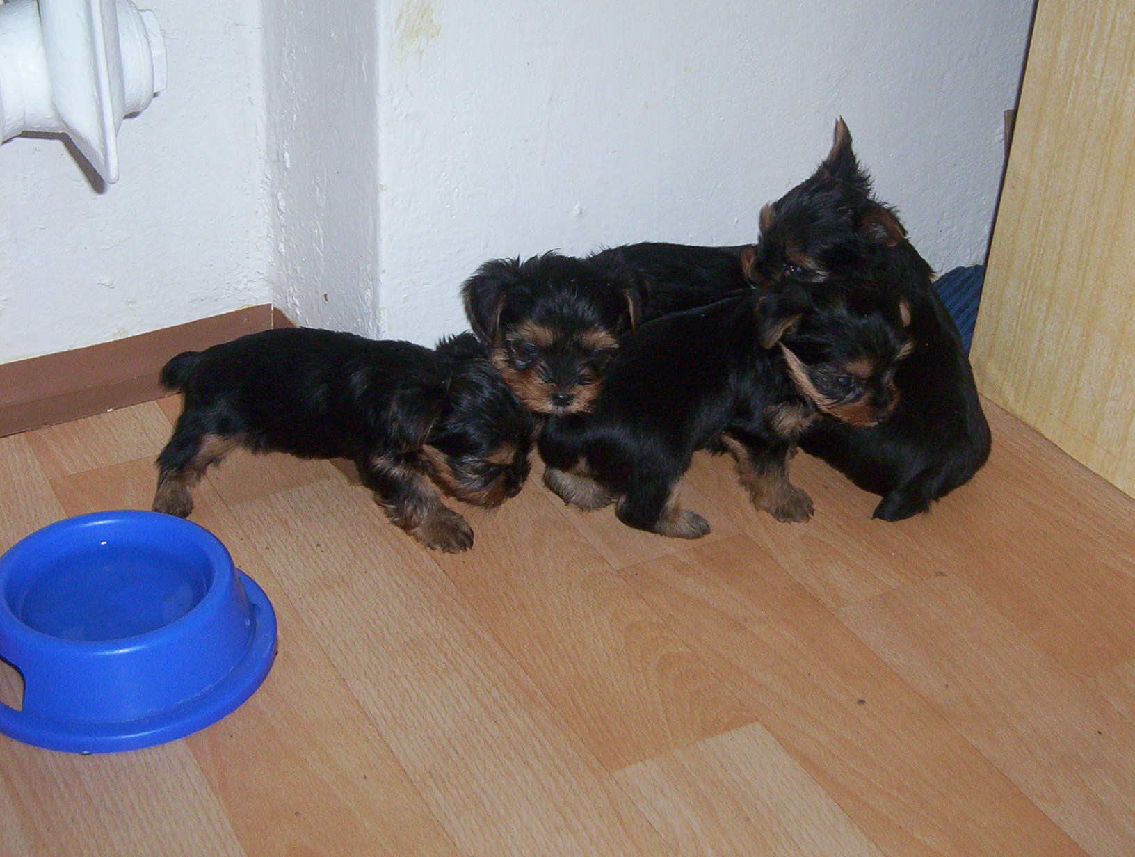 wikend 3.4. 05 014.jpg